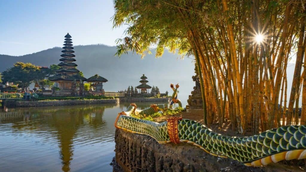 Indonesia Online Visa Help